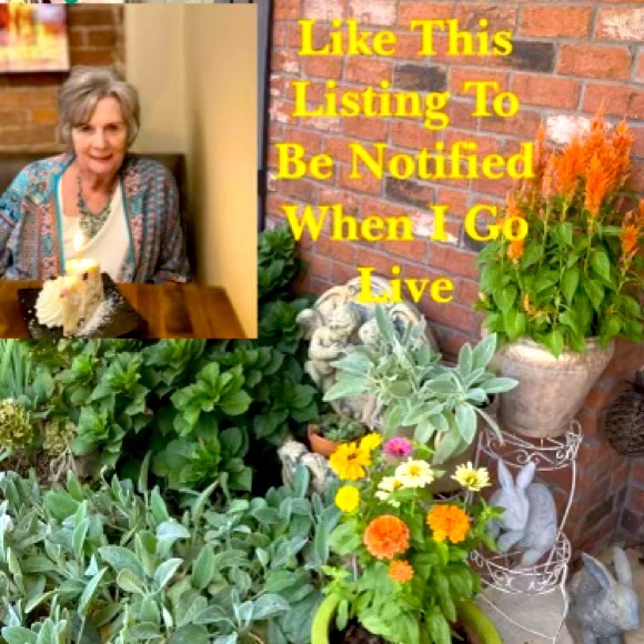 COPY - Like my show, hit like  ;you will be notified for my next live show - Picture 1 of 1